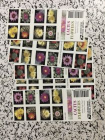 First-Class Rate 2019 U.S. FLAG STAMPS Cactus Flowers 1 0 0pcs FREE SHIPPING (Option: W12329263)